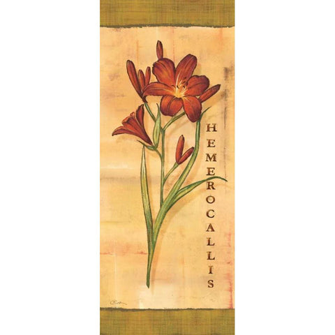 Les Lys II White Modern Wood Framed Art Print by Audrey, Charlene