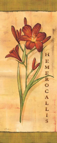 Les Lys II White Modern Wood Framed Art Print with Double Matting by Audrey, Charlene