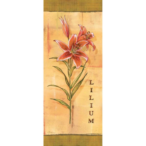 Les Lys III Gold Ornate Wood Framed Art Print with Double Matting by Audrey, Charlene