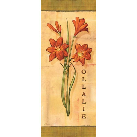 Les Lys IV Black Modern Wood Framed Art Print by Audrey, Charlene