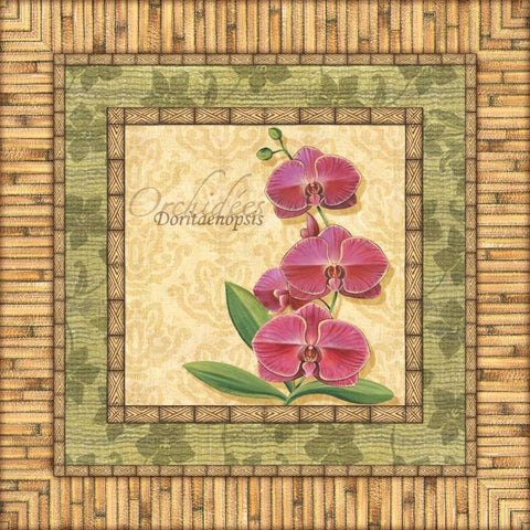 Bright Orchids IV Black Ornate Wood Framed Art Print with Double Matting by Audrey, Charlene