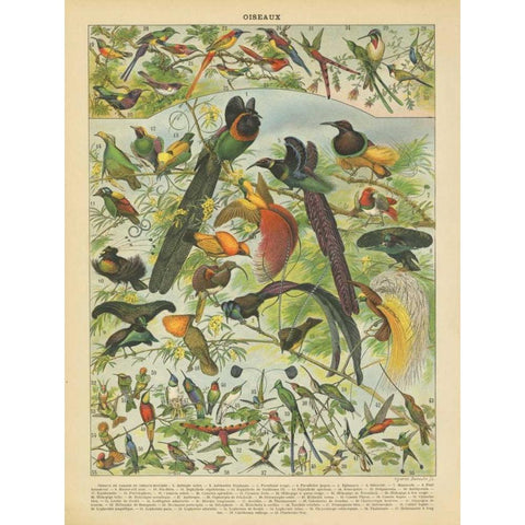 Oiseaux III White Modern Wood Framed Art Print by Babbitt, Gwendolyn