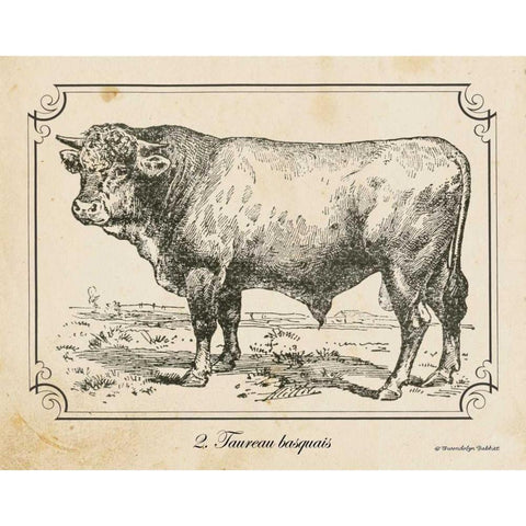 Farm Bull II Black Modern Wood Framed Art Print with Double Matting by Babbitt, Gwendolyn