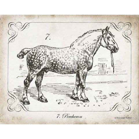 Farm Horse I Black Modern Wood Framed Art Print with Double Matting by Babbitt, Gwendolyn