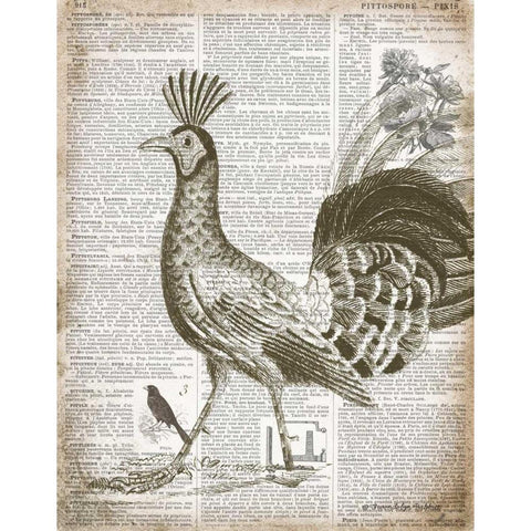 Vintage Bird II Gold Ornate Wood Framed Art Print with Double Matting by Babbitt, Gwendolyn