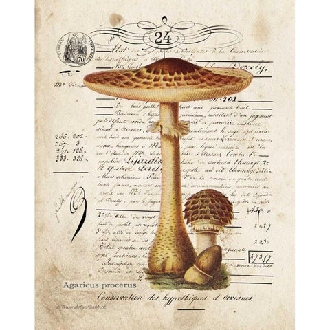 Mushroom I Gold Ornate Wood Framed Art Print with Double Matting by Babbitt, Gwendolyn