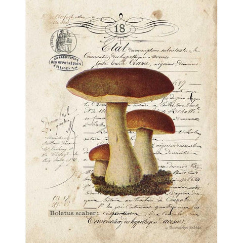 Mushroom II Black Modern Wood Framed Art Print with Double Matting by Babbitt, Gwendolyn