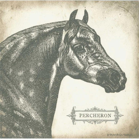 Percheron Black Modern Wood Framed Art Print with Double Matting by Babbitt, Gwendolyn