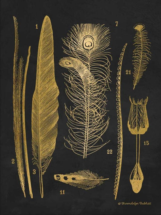 Image Only