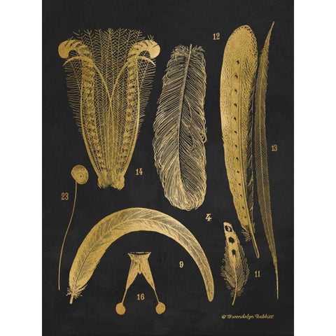 Gold Feathers II Black Modern Wood Framed Art Print by Babbitt, Gwendolyn