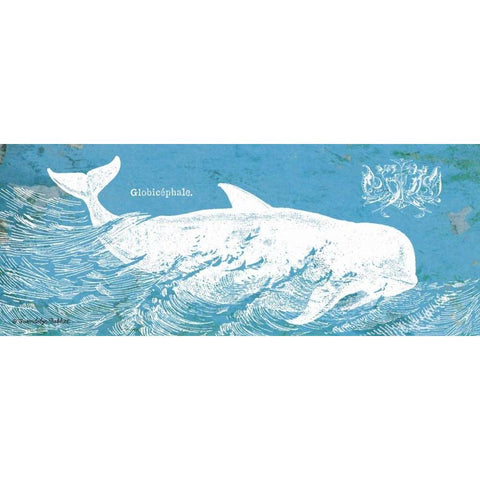 Caribbean Whale I Black Modern Wood Framed Art Print with Double Matting by Babbitt, Gwendolyn