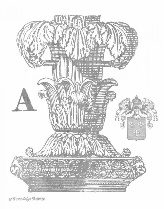 Image Only