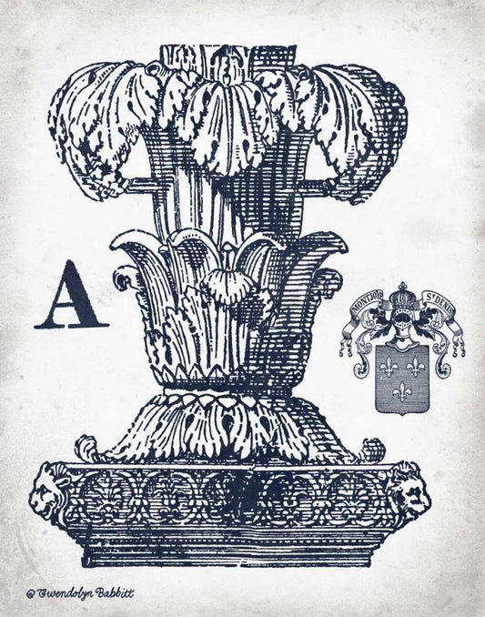 Image Only