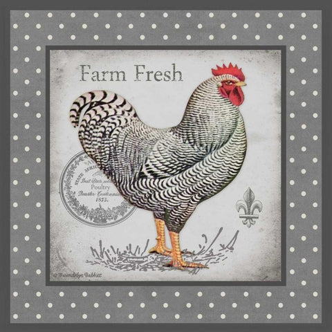 Farm Fresh Eggs I Black Modern Wood Framed Art Print with Double Matting by Babbit, Gwendolyn