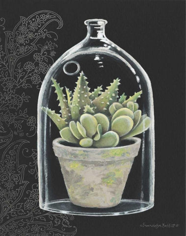 Succulent in Cloche II Black Ornate Wood Framed Art Print with Double Matting by Babbitt, Gwendolyn