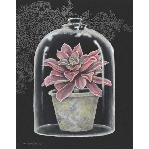 Succulent in Cloche III White Modern Wood Framed Art Print by Babbitt, Gwendolyn