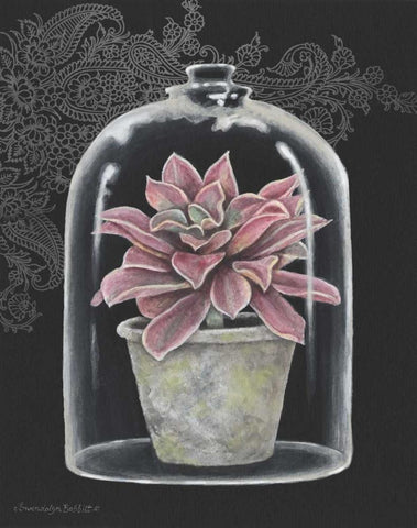 Succulent in Cloche III Black Ornate Wood Framed Art Print with Double Matting by Babbitt, Gwendolyn