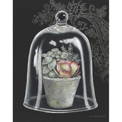 Succulent in Cloche IV Black Modern Wood Framed Art Print with Double Matting by Babbitt, Gwendolyn