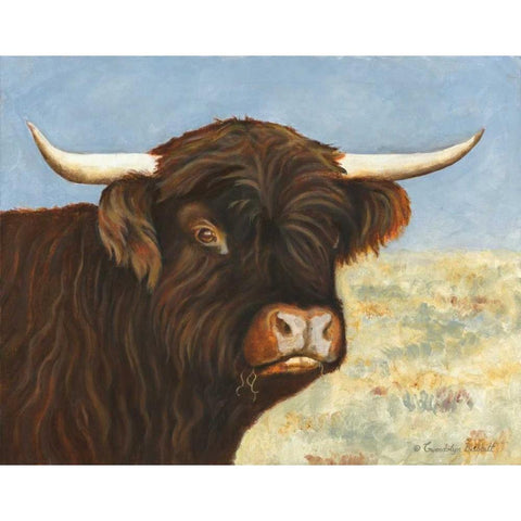 Highland Cow White Modern Wood Framed Art Print by Babbitt, Gwendolyn