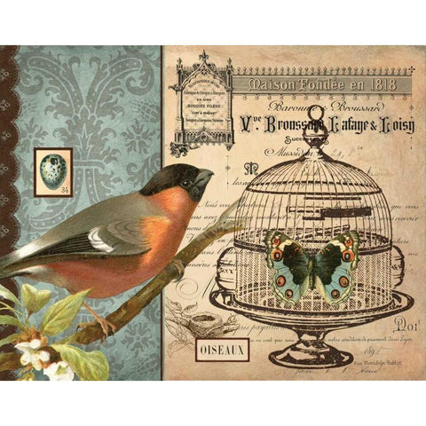 Bird and Cage I Black Modern Wood Framed Art Print with Double Matting by Babbit, Gwendolyn