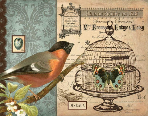 Bird and Cage I Black Ornate Wood Framed Art Print with Double Matting by Babbit, Gwendolyn