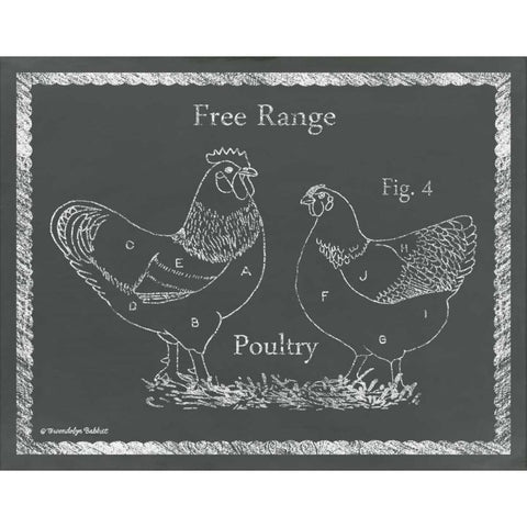 Sectioned Poultry Black Modern Wood Framed Art Print with Double Matting by Babbitt, Gwendolyn