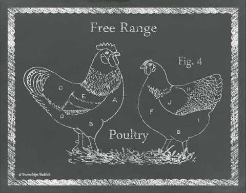 Sectioned Poultry White Modern Wood Framed Art Print with Double Matting by Babbitt, Gwendolyn