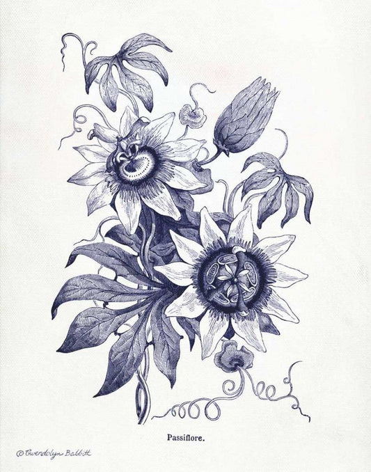 Image Only