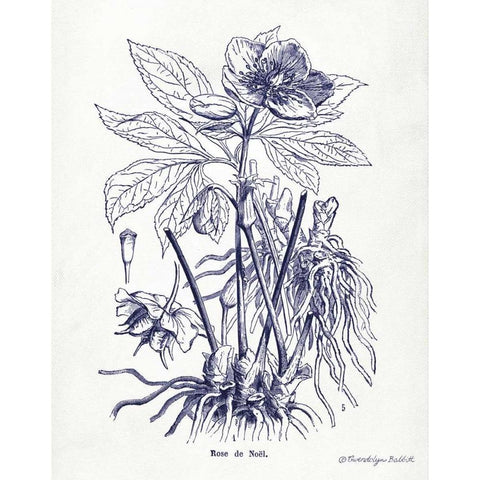 Indigo Botanical II White Modern Wood Framed Art Print by Babbitt, Gwendolyn