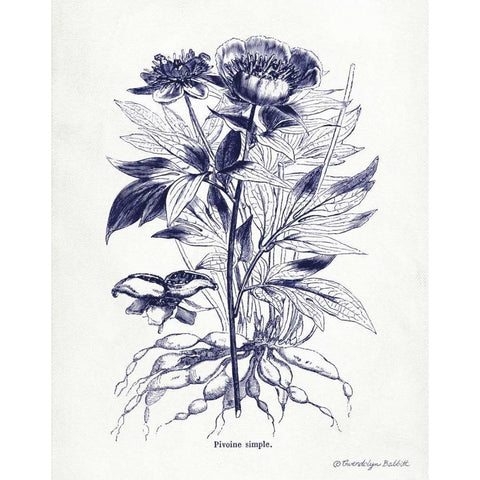 Indigo Botanical III White Modern Wood Framed Art Print by Babbitt, Gwendolyn