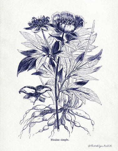 Indigo Botanical III Black Ornate Wood Framed Art Print with Double Matting by Babbitt, Gwendolyn