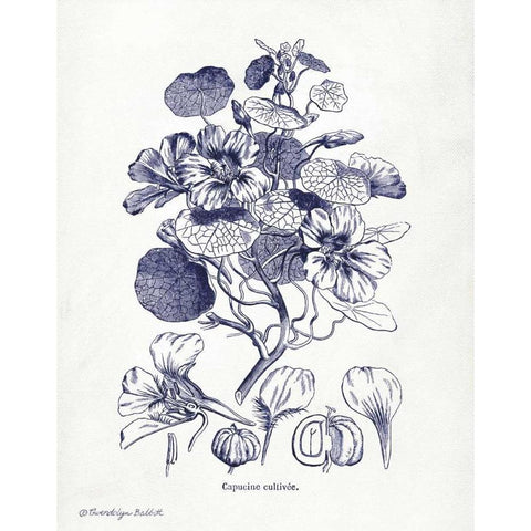 Indigo Botanical IV Gold Ornate Wood Framed Art Print with Double Matting by Babbitt, Gwendolyn