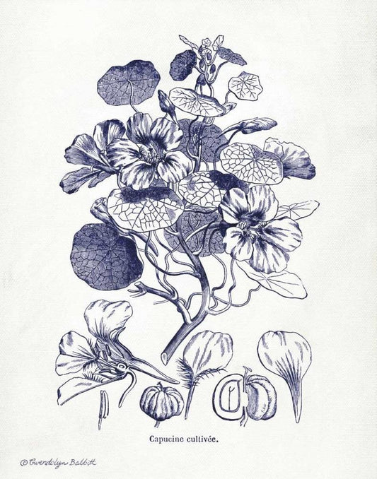 Image Only