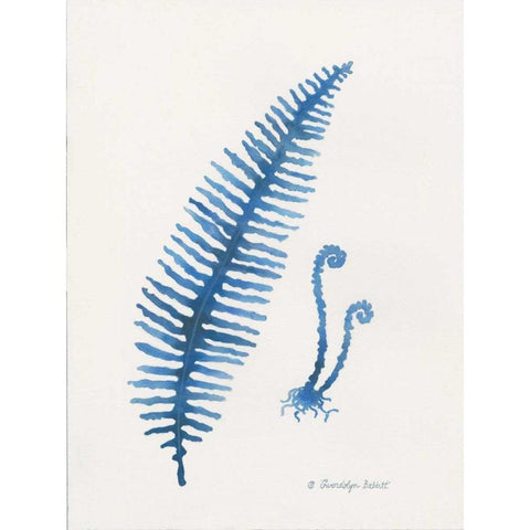 Indigo Fern II White Modern Wood Framed Art Print by Babbitt, Gwendolyn