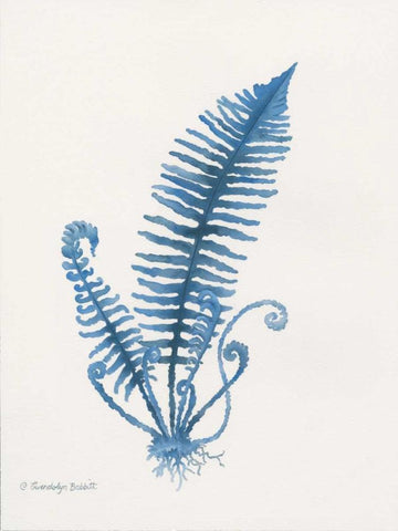 Indigo Fern IV Black Ornate Wood Framed Art Print with Double Matting by Babbitt, Gwendolyn