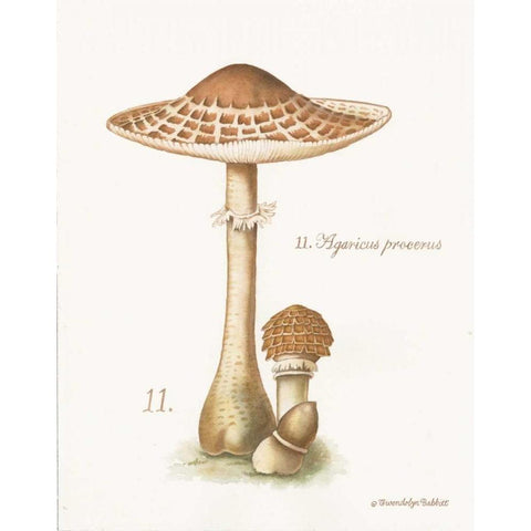 Mushroom I White Modern Wood Framed Art Print by Babbitt, Gwendolyn