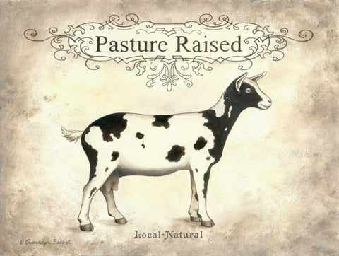 Pasture Raised White Modern Wood Framed Art Print with Double Matting by Babbitt, Gwendolyn