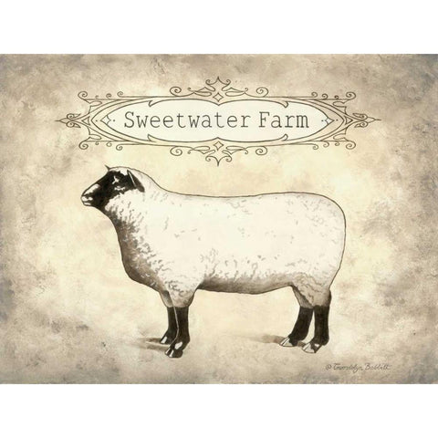 Sweetwater Farm White Modern Wood Framed Art Print by Babbitt, Gwendolyn