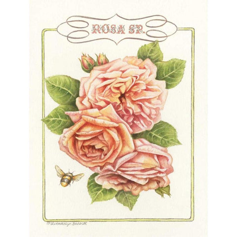 Rose Species Gold Ornate Wood Framed Art Print with Double Matting by Babbitt, Gwendolyn