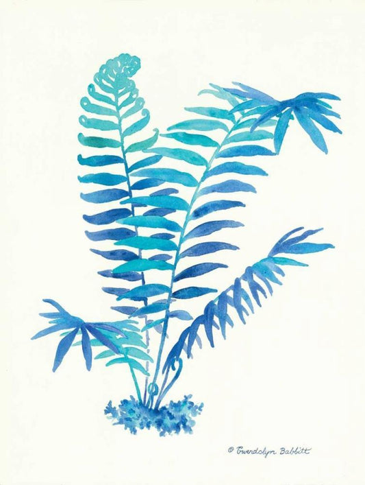 Image Only