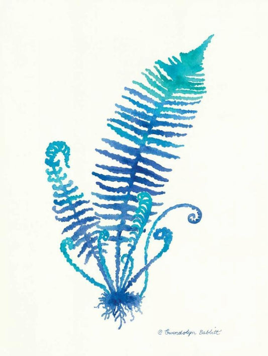 Image Only