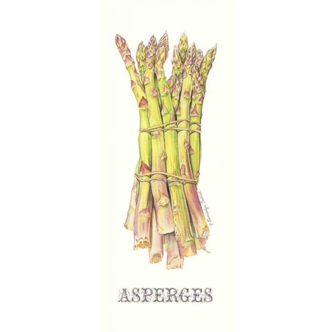 Asperges White Modern Wood Framed Art Print by Babbitt, Gwendolyn