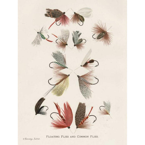 Fishing Flies II Black Modern Wood Framed Art Print with Double Matting by Babbitt, Gwendolyn