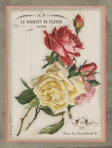 French Rose II White Modern Wood Framed Art Print with Double Matting by Babbitt, Gwendolyn