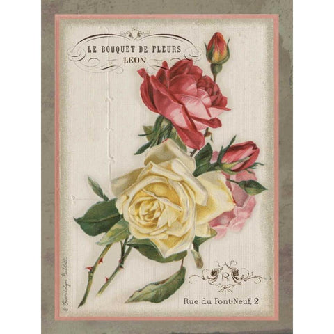 French Rose II White Modern Wood Framed Art Print by Babbitt, Gwendolyn