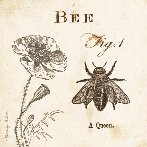 Bee Fig 1 Black Ornate Wood Framed Art Print with Double Matting by Babbitt, Gwendolyn