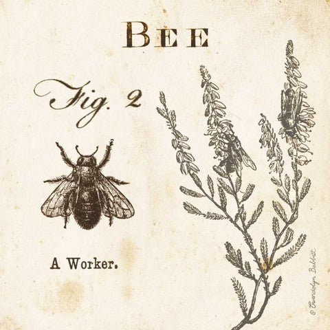 Bee Fig 2 White Modern Wood Framed Art Print with Double Matting by Babbitt, Gwendolyn