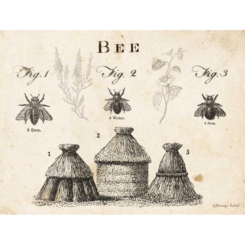 Bee Chart I Black Modern Wood Framed Art Print with Double Matting by Babbitt, Gwendolyn