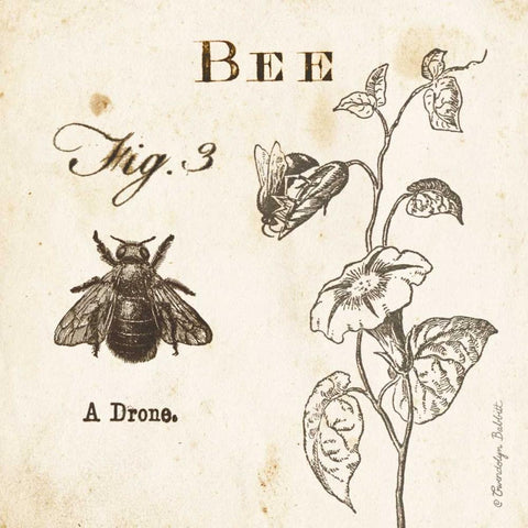 Bee Fig 3 White Modern Wood Framed Art Print by Babbitt, Gwendolyn