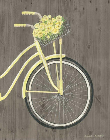 Spring Bike II White Modern Wood Framed Art Print with Double Matting by Babbitt, Gwendolyn